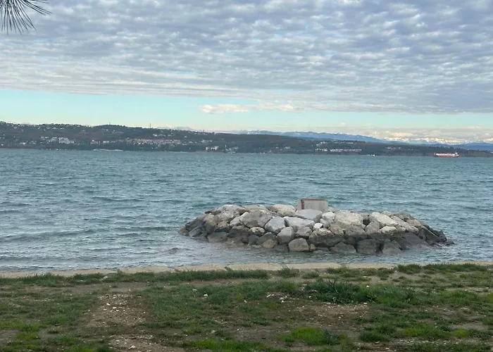 At Alex With Seaview * Κόπερ